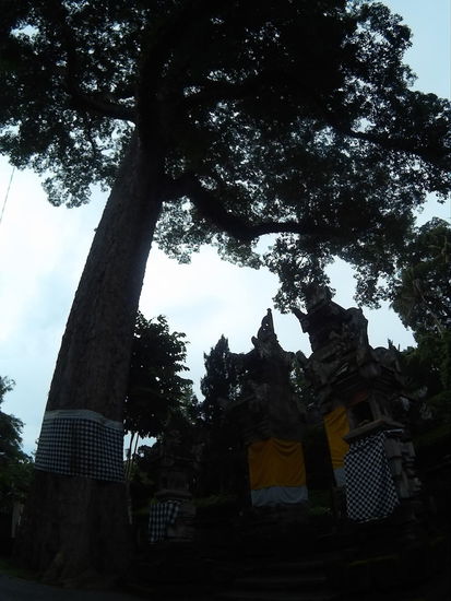 Ich konnte ihn einfach nicht "einfangen"