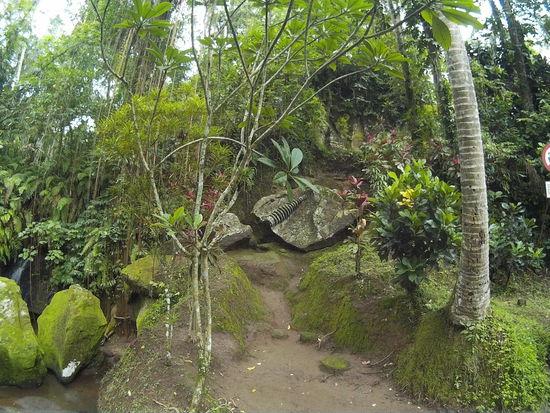 Also, das soll ja mal ein Buddha gewesen sein, da frage ich mich doch, was dieser Teil Darstellte?