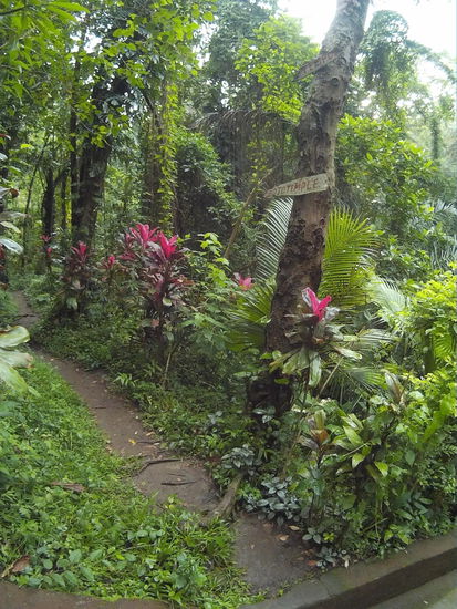Der Weg hinter den Tempel,  zu den Steinfratzen,  zur Höhle und zum Pfandflaschenschatz...
