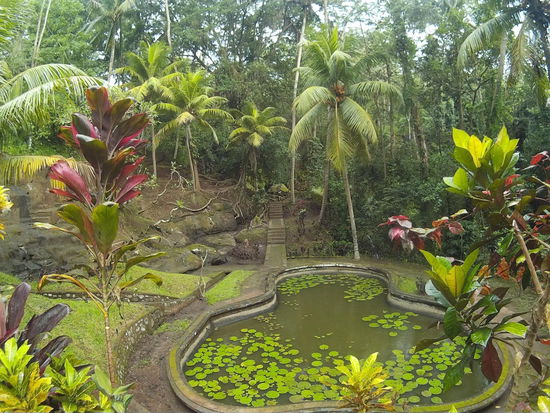 Die Anlage ist so idyllisch...