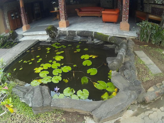 Über den Teich vor der Rezeption führt eine Brücke