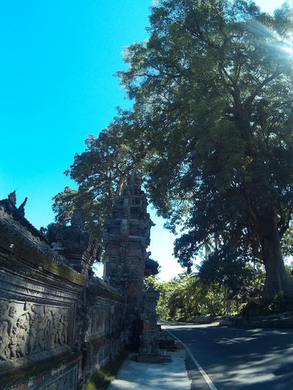 Im Schatten des Baumes rechts, traf ich die beiden netten "Führer "