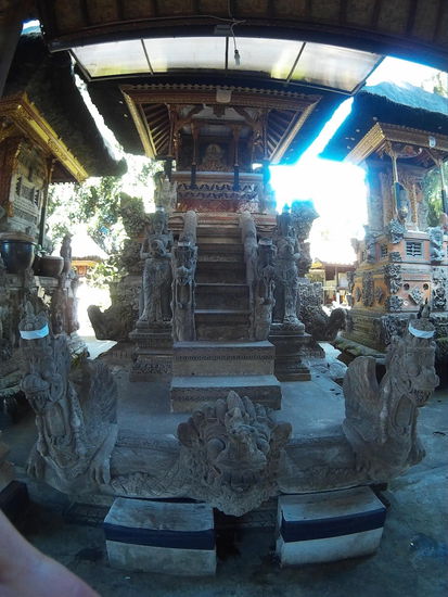 Noch ein Nasendrachen