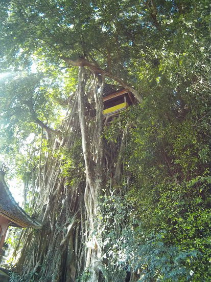 Leider habe ich keinen Weg hoch gefunden