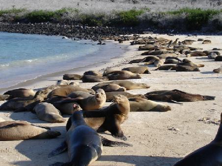 ¿Wem gehoert die Insel?