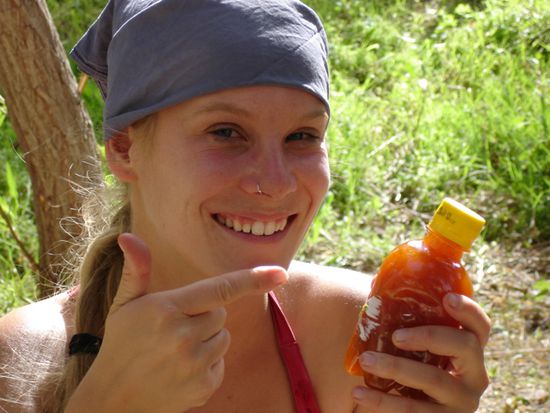 Aprikosenkonfitüre nach Travellerart
