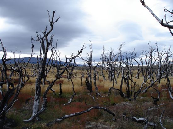 Patagonische Steppenlandschaft