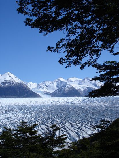 Der Greygletscher, Ausläufer des südlichen Eisfeldes