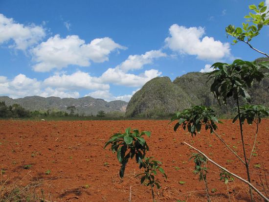 Farbenpracht in Vinales