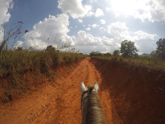 Natur erleben auf dem Pferderücken
