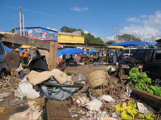 Fruit Market