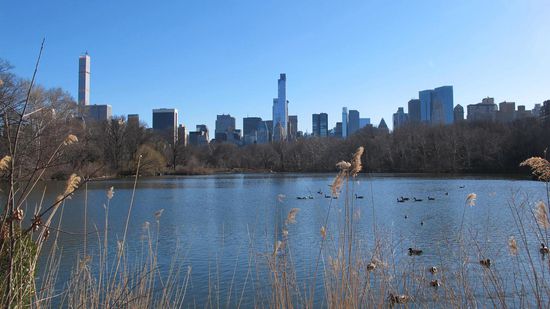 Die Wokenkartzer erinnern daran, dass draussen das Stadtleben tobt!