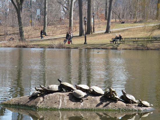 Nicht nur wir genossen die Sonne 