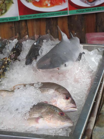 Aber alles möchte ich hier definitiv nicht probieren!