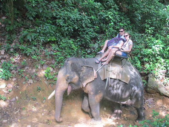 Gemütlich über Stock und Stein