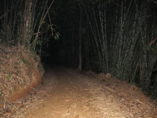 Hinein in die Dunkelheit