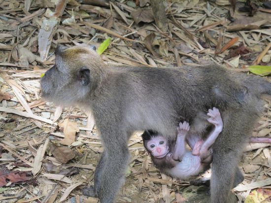 Mit Baby (jöööh!)