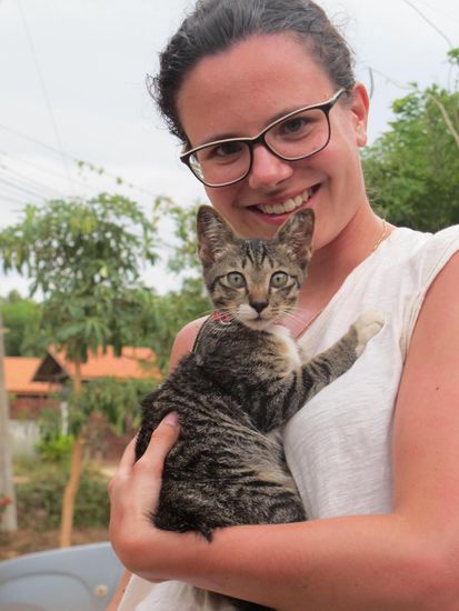 Spikey sucht Adoptiveltern... wie weitere 50 Katzen!