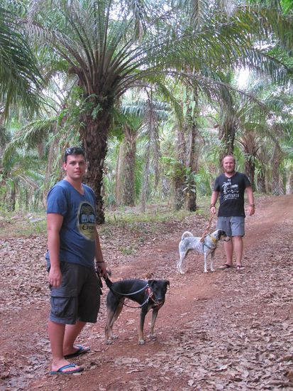 Walking with the dogs (Tamy and Buddy)