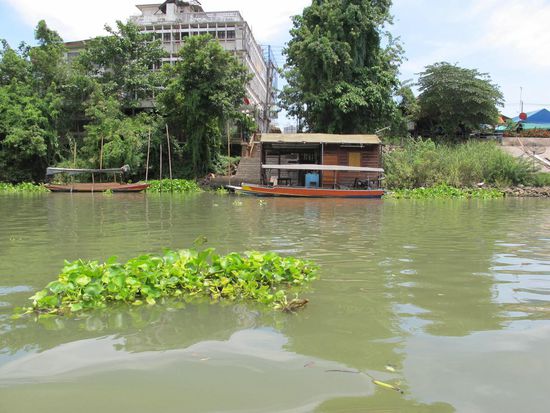 Bootsfahrt in Ayutthaya