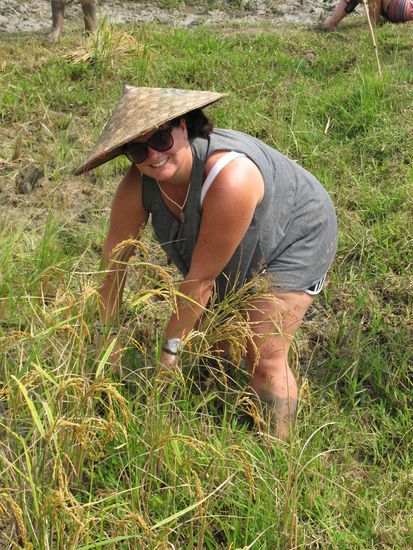 Alle mussten mithelfen!