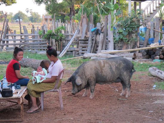 ist köstlich anders...