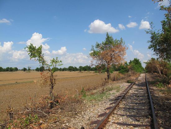 Willkommen auf dem Bamboo Train