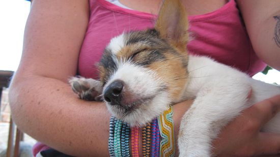 Ohh, den würde ich gerne mitnehmen 