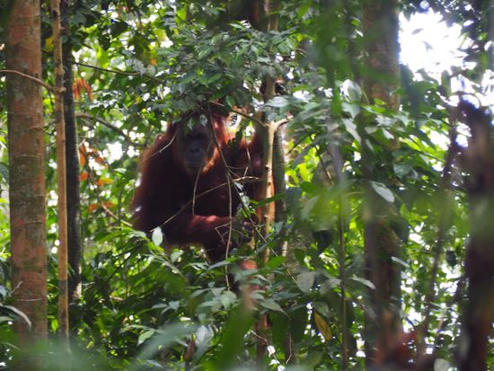 Unglaublich wie grimmig Mina schaut...