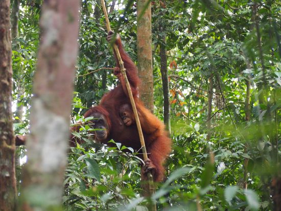 ...ihr Baby ist aber richtig süß 