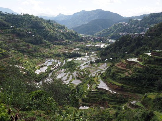 Reisterrassen von Banaue