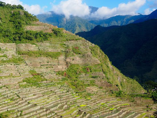 Traumblick von unserem Guesthouse und unserem Zimmer!