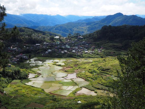 Auch hier gibt's schöne Reisterrassen!