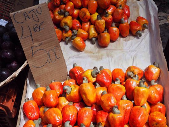 Caju-Frucht... beinhaltet die leckeren Cashew-Kerne