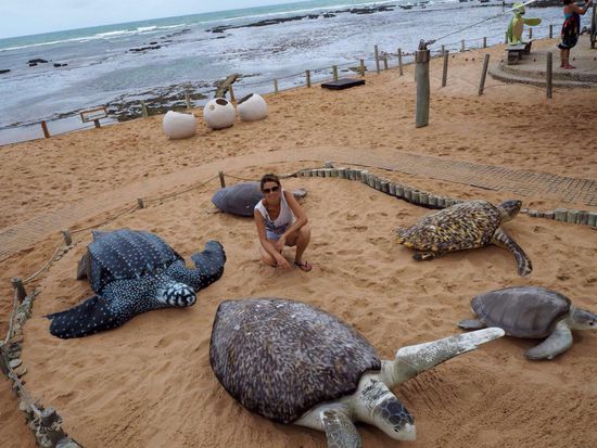 Schildkröten Schutzprojekt