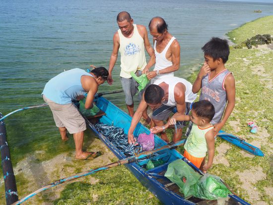 Fische werden direkte frisch aus dem Fischerboot verkauft - solange der Vorrat reicht!