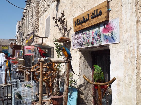 Bird Souq... leider 