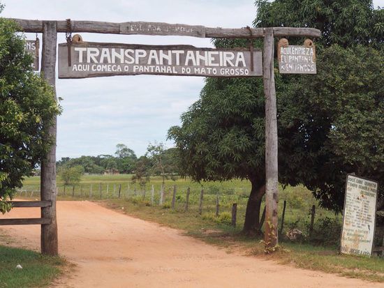 145 km lange Piste führt schnurgerade durchs Pantanal
