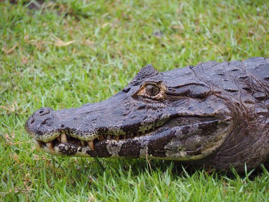 nette Begrüßung in der Pousada 