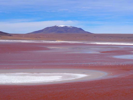 Laguna Colorado