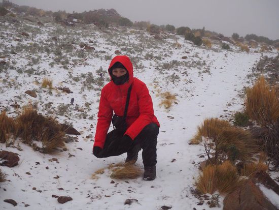 ...wenn der Schnee nicht wäre 