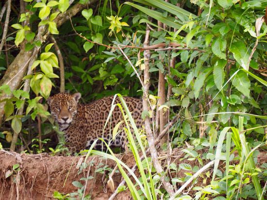 Darauf haben wir 4 Tage gewartet - die Freude ist sooo groß!