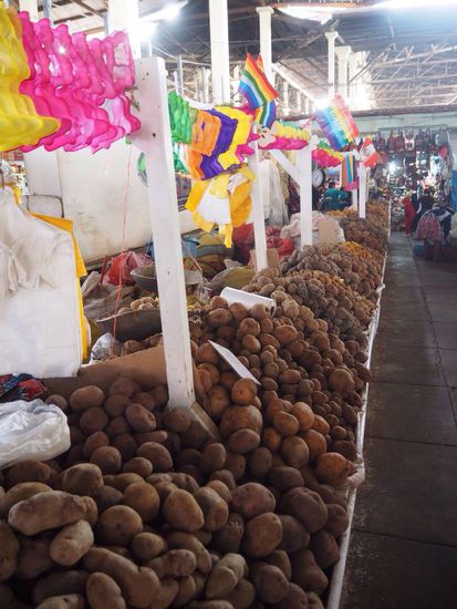 Auf mehr als 15 m und zweireihig lauter verschiedene Kartoffelsorten