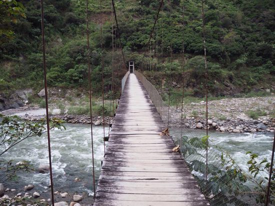 nichts für schwache Nerven...