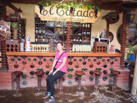 Wein- und Piscoverkostung