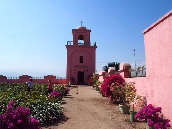 Weingut Tacama