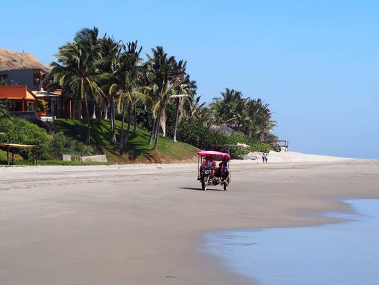 ein Tuk-Tuk fährt überall