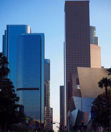 Skyline in Downtown L.A.