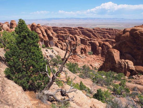 außergewöhnlich schöne Landschaft
