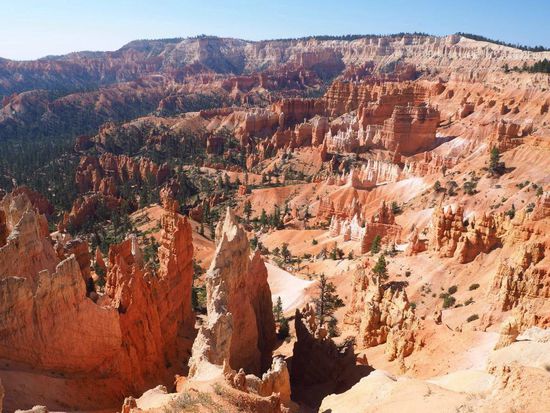 wir kommen aus dem Staunen nicht raus...